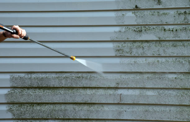 Best Vinyl Siding Pressure Washing in Jeffersonville, KY